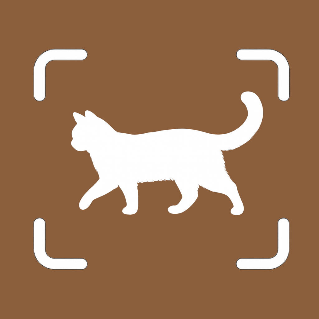 Cat Breed Identifier Icon